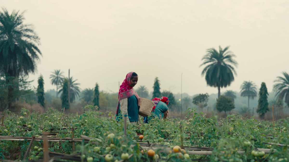 Farm at LIMS